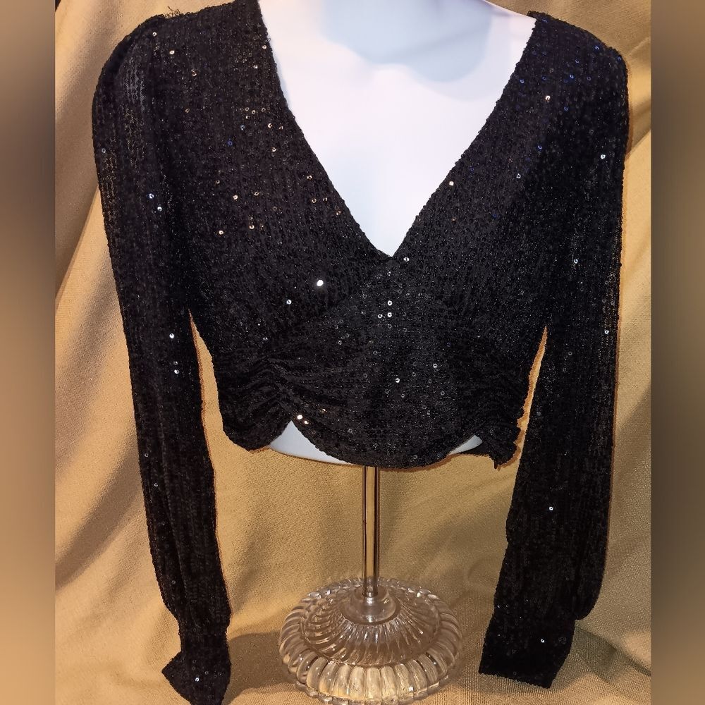 Sincerely Jules sequined long sleeve crop top. Sheer sleeves